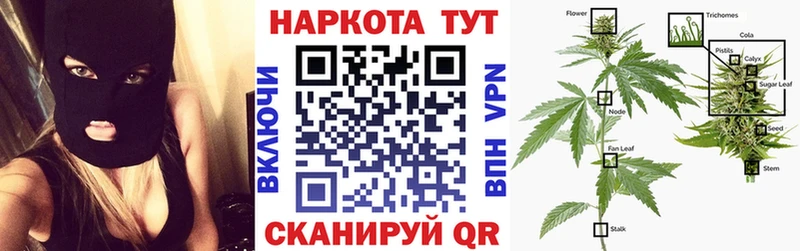 Как найти наркотики Фрязино ГАШИШ  COCAIN  Псилоцибиновые грибы  Бошки Шишки  блэк спрут онион  Мефедрон 