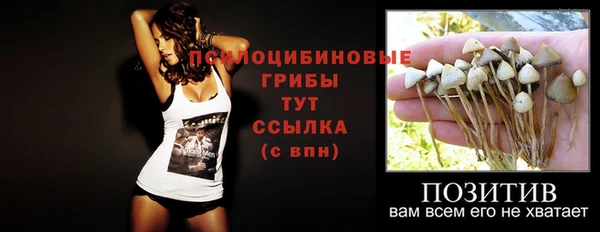 мескалин Покачи