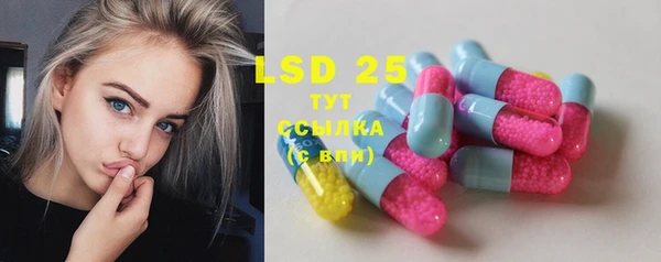 индика Армянск