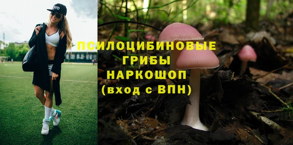 гашишное масло Аркадак