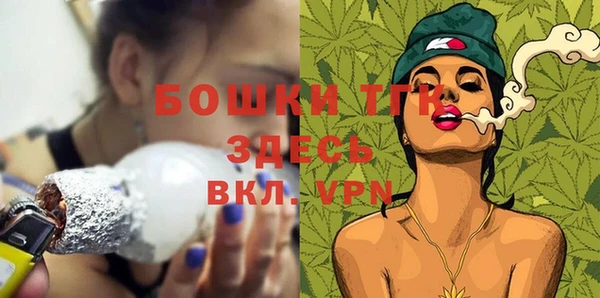 индика Армянск